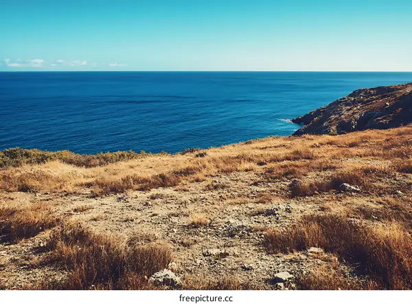 Coastal Landscape with Blue Sea and Grassy Cliff