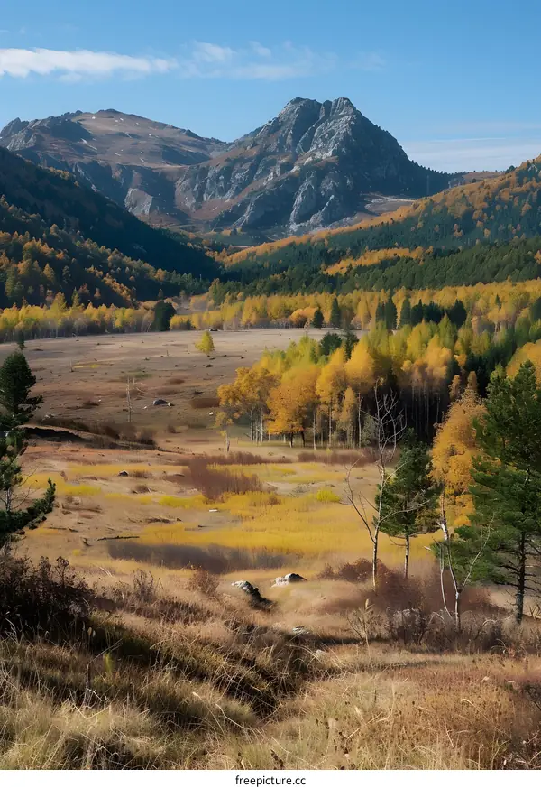 Autumn Foliage in Mountain Valley