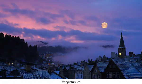 Winter Moonlight over the Snowy Town