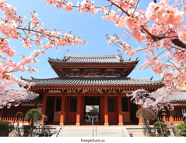 Japanese traditional temple with cherry blossoms