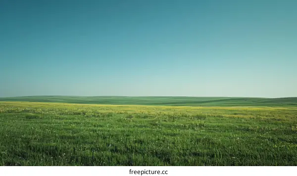 Green rolling hills under blue sky