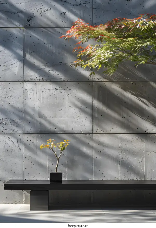 Minimalist Concrete Wall With Bench and Plants