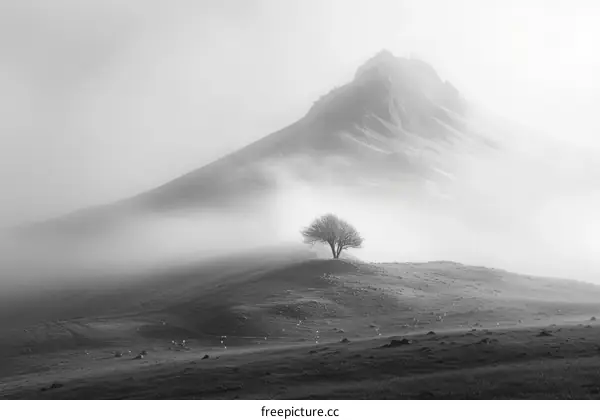 Lonely Tree in Foggy Mountain Landscape