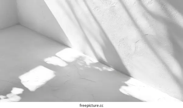 White Wall Sunlight Shadows Minimalist Abstract Background