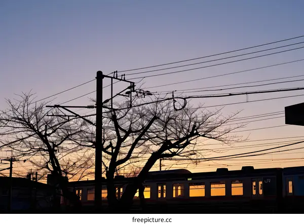 Silhouettes of Tree Branches and a Train Against a Sunset Sky