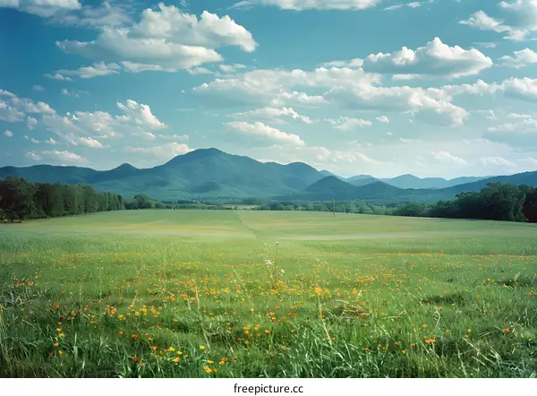 Green Field With Blue Sky And Mountains