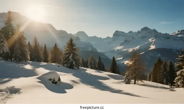 Sunlit Snowy Mountain Range with Lush Pine Trees