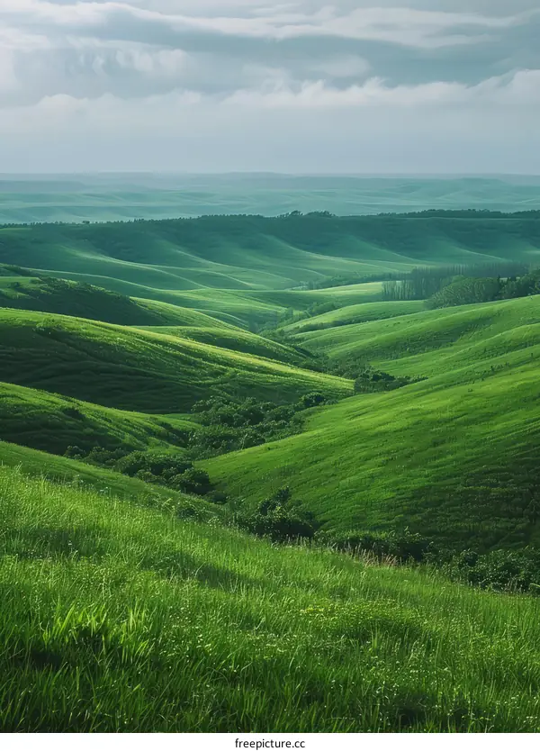 Green rolling hills under a cloudy sky