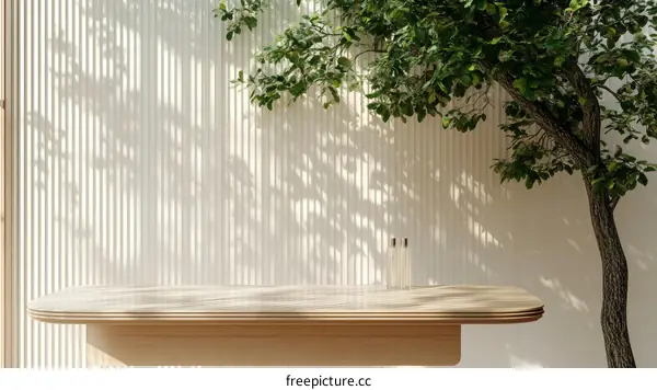Modern Minimalist Empty Display Table with Tree