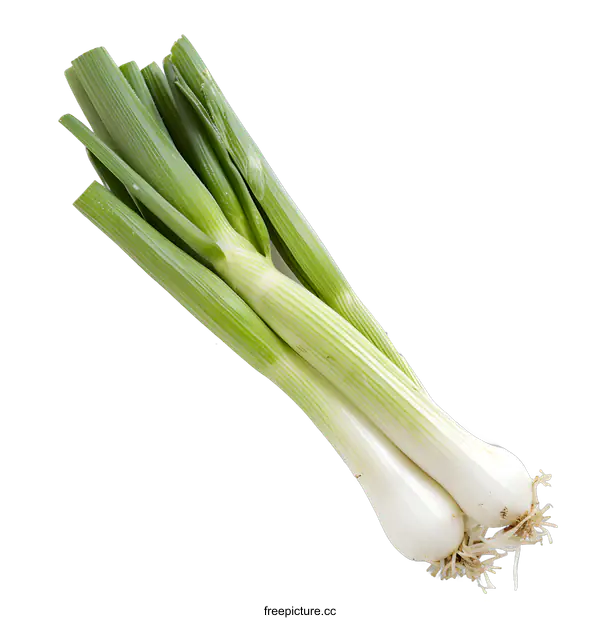 [Transparent Background PNG]Fresh Green Onions on White Background
