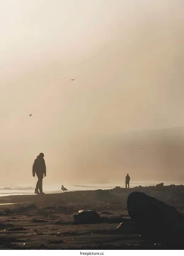 Two People Walking On A Beach With Birds Flying In The Sky