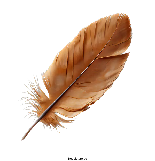 [Transparent Background PNG]brown chicken feather isolated on white background