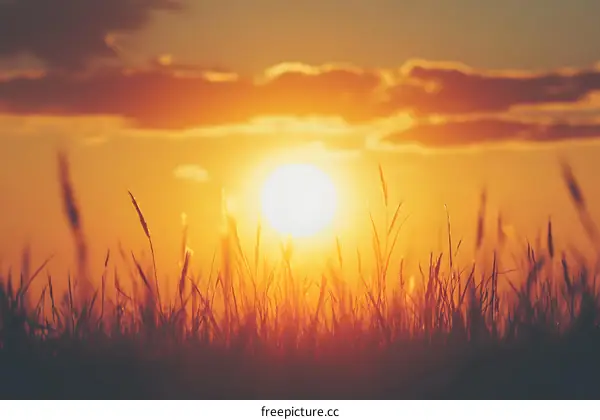 Sunset Over Grass Field