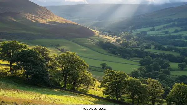 Sunlight Drenched Valley Landscape