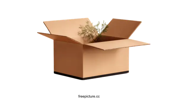 [Transparent Background PNG]Open Cardboard Box with Small Plant
