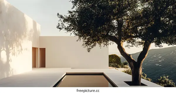 Minimalist Modern Architecture with Pool and Tree