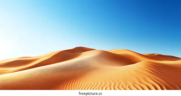 Desert Landscape Under Blue Sky