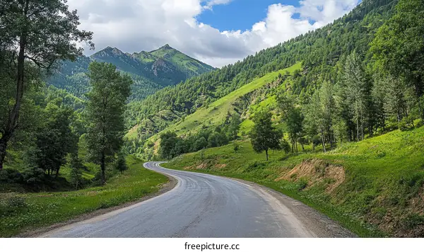 Mountain Road Winding Through Lush Green Forest