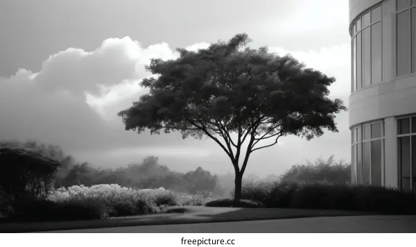 Black and White Landscape with Tree and Building