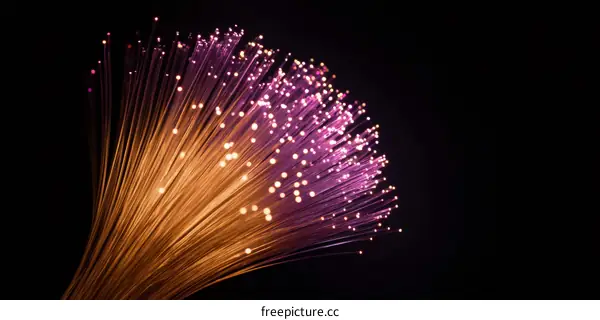 Optical Fiber Bundle with Vibrant Colors