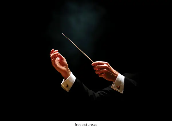 Orchestral Conductor Leading an Ensemble