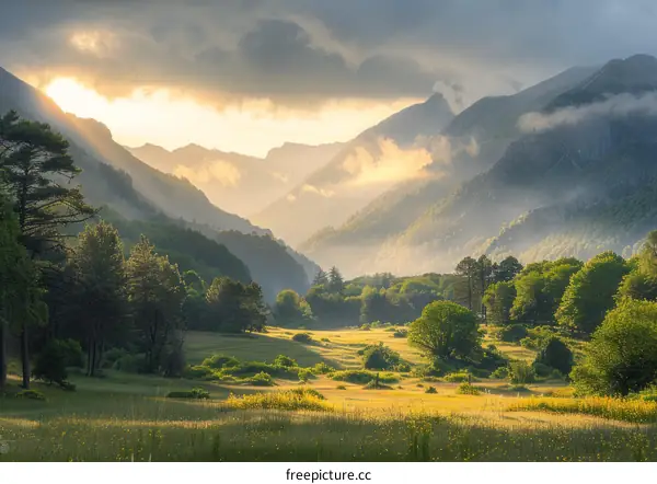 The Sunbeams Illuminate a Verdant Valley