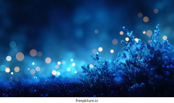 Deep Blue Night Lights Nature Scene