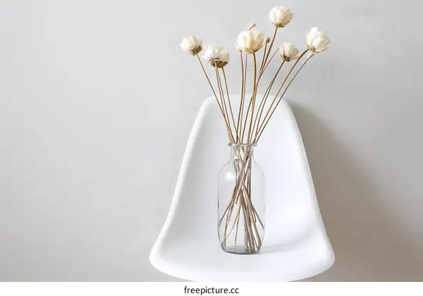 Dried Flower Arrangement in Glass Vase on White Chair
