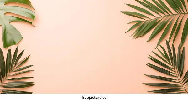 Tropical Palm Leaves on Peach Background