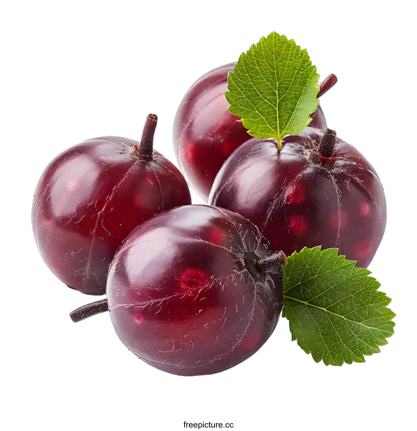 [Transparent Background PNG]Fresh gooseberries with leaves on white background