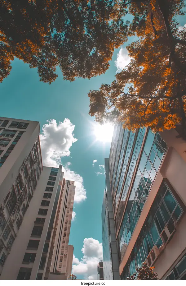 Tall Buildings Underneath a Sunny Sky