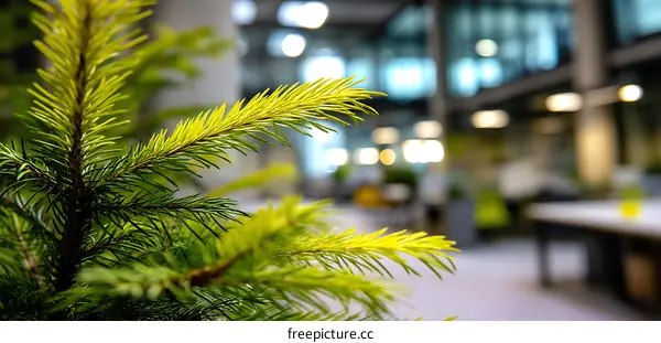 Modern Office Interior with Pine Branches