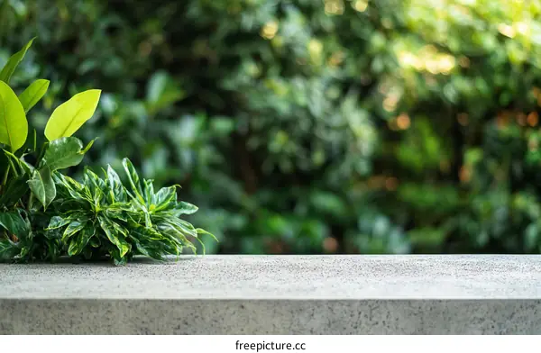 Green Plants on a Concrete Surface Outdoor Background