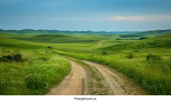 Dirt Road through Lush Green Grassy Field with Rolling Hills
