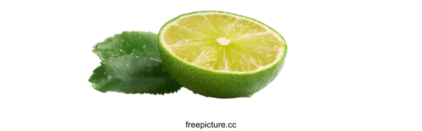 [Transparent Background PNG]Fresh Lime Slice with Leaves Closeup