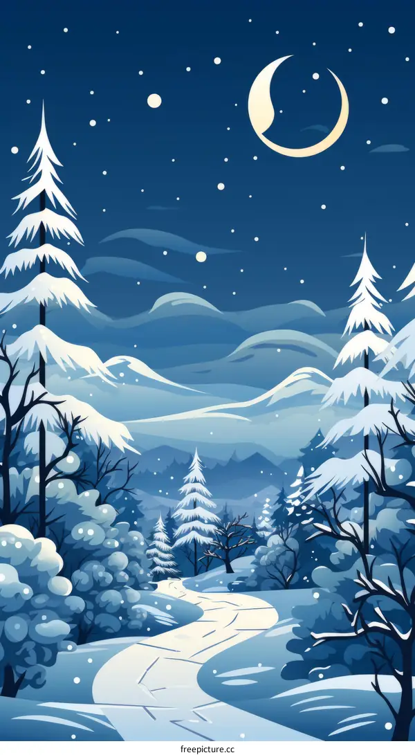 The Path Through The Snowy Woods At Night