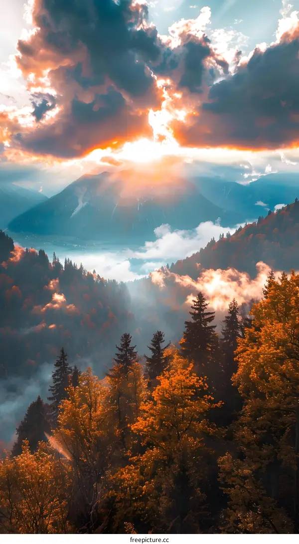 Golden Hour Mountain Landscape With Clouds and Forest