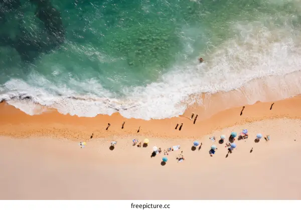 Aerial View of a Beach Scene with People Relaxing