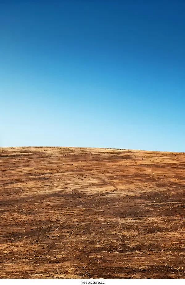 Blue Sky Over Plowed Field