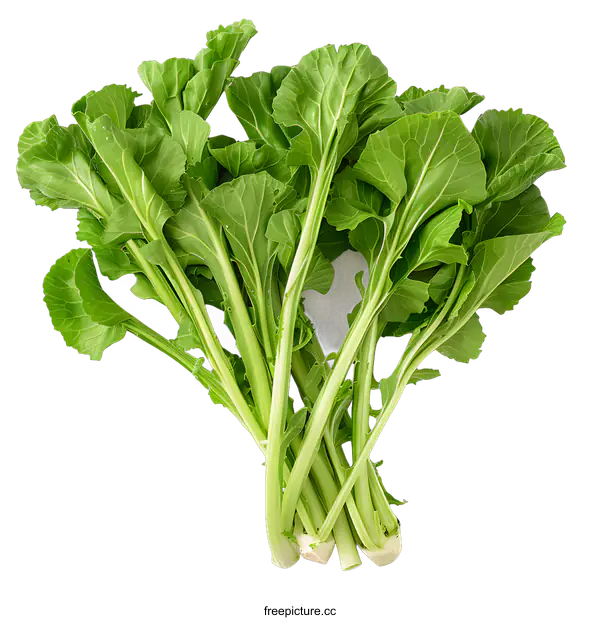 [Transparent Background PNG]Fresh green leaves of chinese mustard on white background