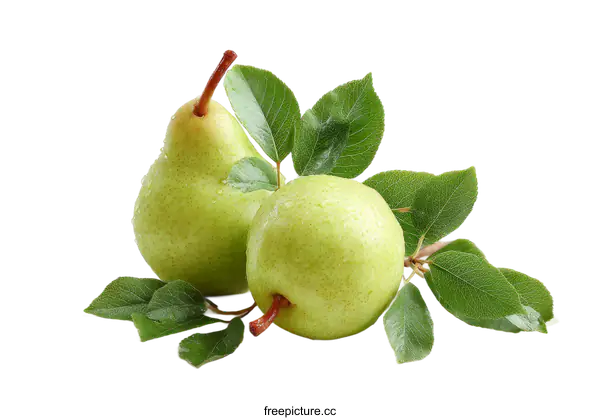 [Transparent Background PNG]Fresh Green Pears with Leaves