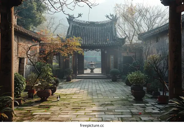 Courtyard with a traditional chinese architecture