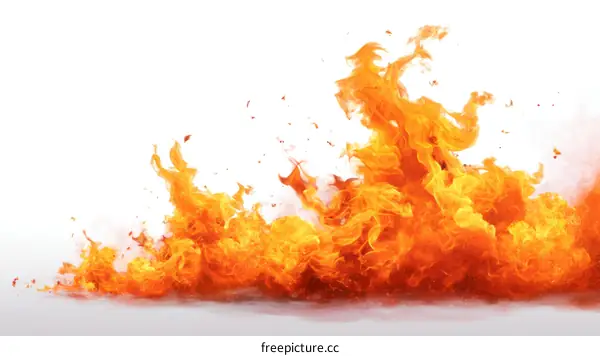 Fiery Flames Against a White Background