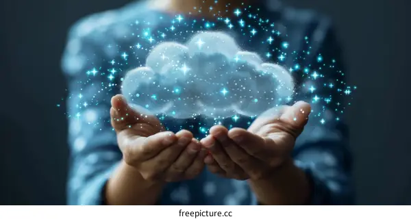 Woman Holding a Cloud: Data, Technology, and the Future