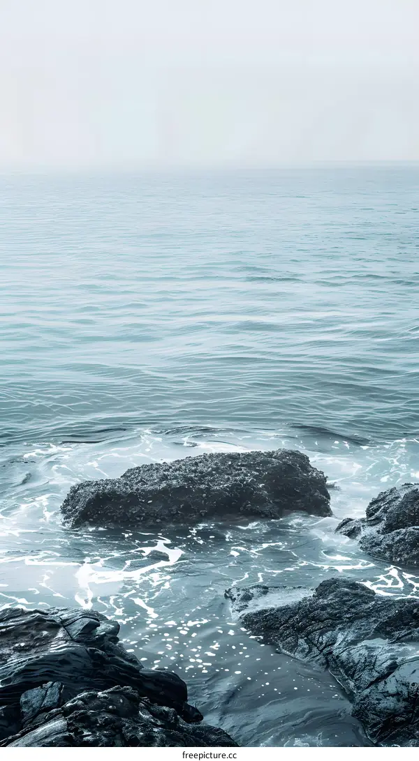 Rocks and Sea in Foggy Weather