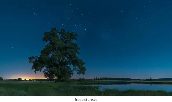 Night landscape with a starry sky, a large tree and a lake