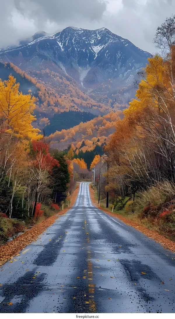 Road through a colorful autumn forest