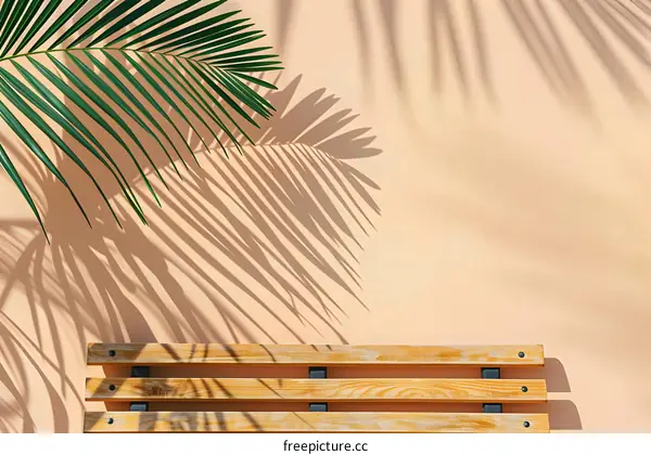 Palm Leaf Shadow on Beige Wall with Wooden Bench