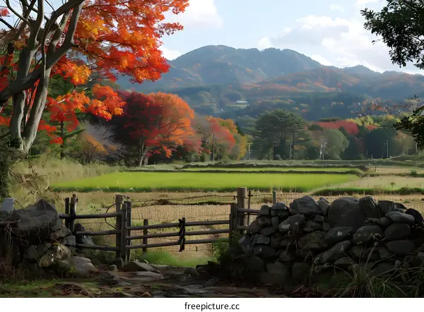 Autumn Scenery with Red Maple Trees in Japan