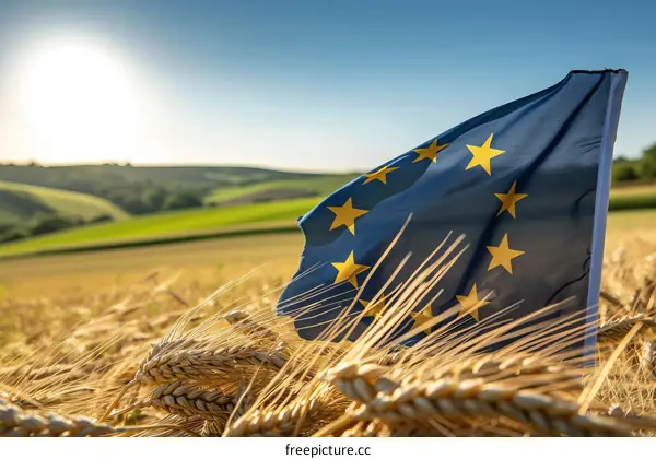 Waving Flag of the European Union in a Wheat Field